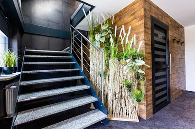 Hostel Dzika Kaczka Apartamenty Pokoje Noclegi